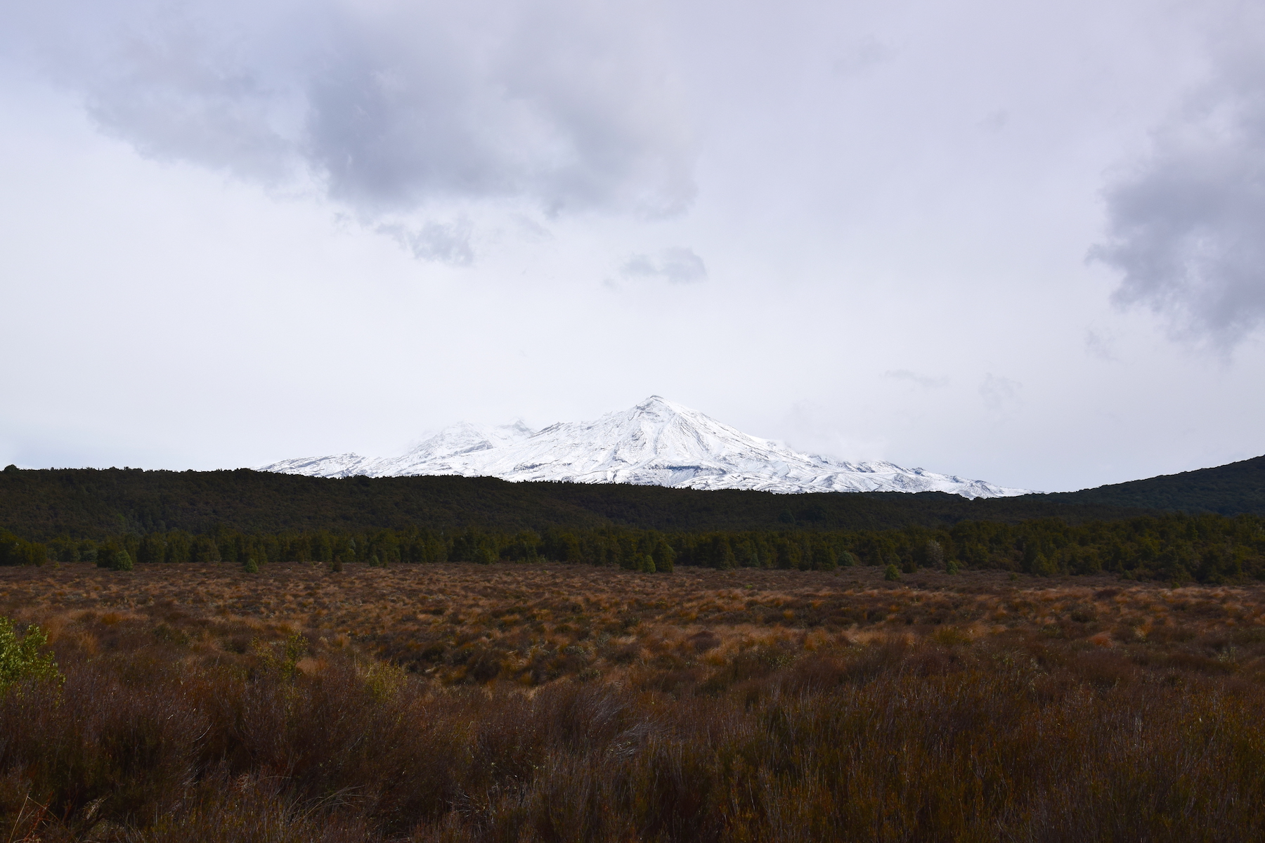 Tongariro Nationalpark